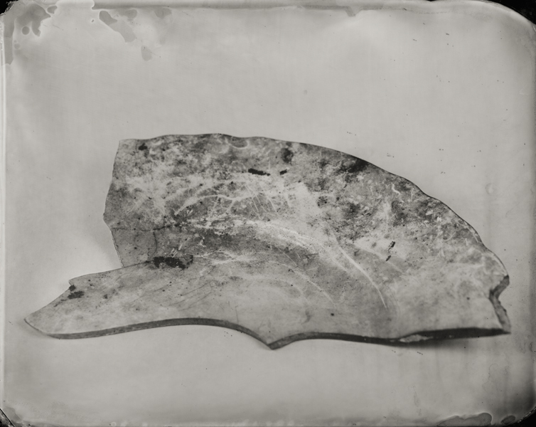 "Plate Shard." From Objects of Uncertain Provenance: Found in Winslow Homer's Studio. 8x10" tintype. 2012.